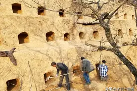 子午岭浩瀚原始森林中的养蜂人张雪峰图片
