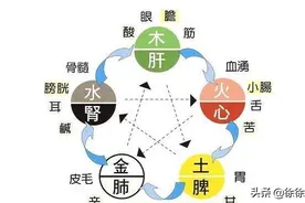 秋季眼干涩，杞菊茶不是万能的！方法其实还很多图片