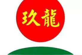造纸大哥大——玖龙纸业图片