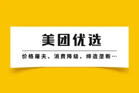 美团优选的“七宗罪”图片