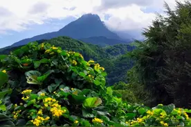 因一首歌红遍大江南北的山，能脱口而出是哪座山吗？顺手指看过来图片