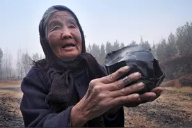山东老农放羊捡到块石头，拿回家当打火石，专家：比海洋之心珍贵图片