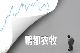 鹏欣系资本运作多数告败 姜照柏实控3家公司扣非连亏图片