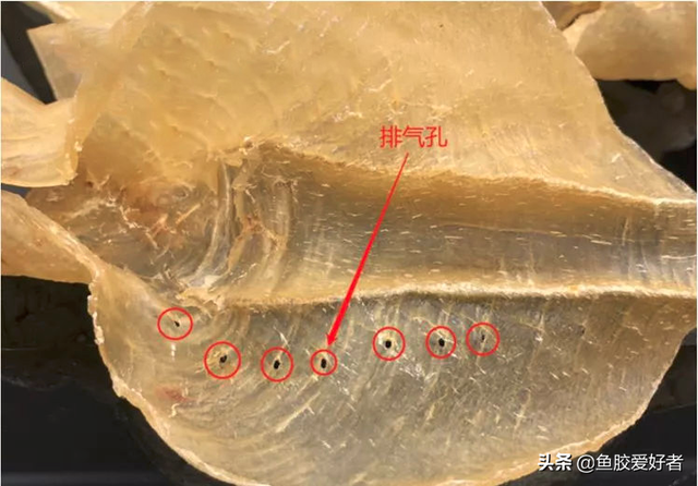 巴基斯坦白花胶 2026年巴基斯坦白花胶的功效