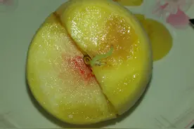 水果表面没有虫眼，为何里面会生虫？吃进肚子里的虫卵会寄生吗？图片