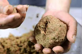 冬季不是鲤鱼不吃饵，是因为你不知道它藏在哪里图片