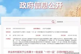 全国名单！安徽33个村镇上榜！图片