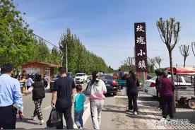 冠县乡韵·玫瑰小镇图片