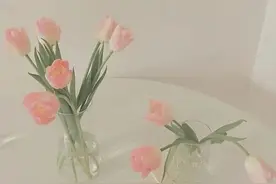 民国+娱乐圈 |《禁区》《欲燃》图片