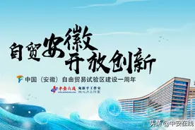 改革开放奋蹄疾 乘势而上开新局——中国（安徽）自由贸易试验区建设一周年综述图片