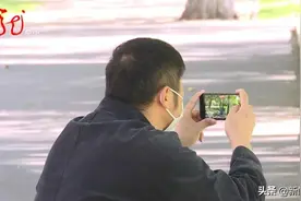 童话般的哈尔滨，竟然美成这样图片