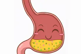 玉米是养胃的食物吗？一起来了解一下图片