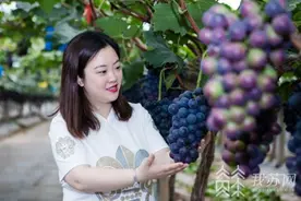 江苏“最美青年”曾嬿：为千家万户送去甜蜜的“水果女王”| 我苏人物图片