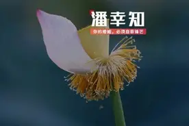 6岁女童遭生母及男友虐待案开庭!结果痛心没有一对父母能置身事外图片