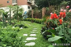 破旧荒地变身“秘密花园”！见证哥探访社区第二弹来啦~图片