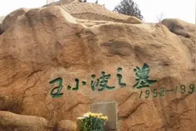 王小波45岁去世和李银河无儿无女，却教育出背靠腾讯的好外甥！图片