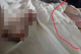鲍某明案的一个恐怖细节，牵出一条民间送养的“黑色”链条图片
