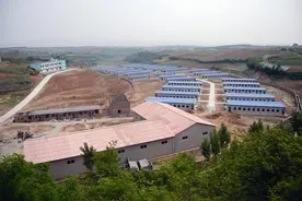 最新猪场人工授精技术详细讲解图片