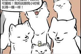 非人哉：到底谁是九月的爸妈，龙也能生双胞胎，敖烈和九月都很懵图片