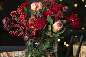 春节买花指南：拥有这些花，把我家装点得别开生面图片