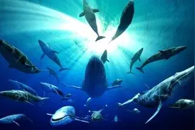 1964年，海洋生物专家在海底4500米处，发现疑似海底人的神秘铁塔图片