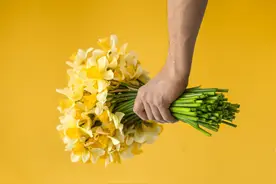 刚到英国，千万要记住这10件事！轻则罚款，重则坐牢图片