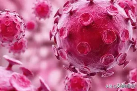 初中～科学防疫～你不知道的防疫小知识图片