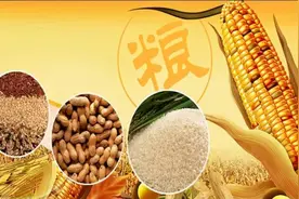 世界四大粮商垄断全球粮食交易，为何动不了“中国饭碗”？图片