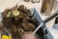 有趣GIF 只要心中有阳光哪里都是马尔代夫图片