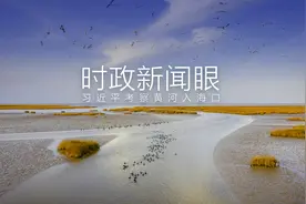 时政新闻眼丨习近平赴山东考察，为何首站来到黄河入海口图片