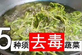 焯水去毒后才能吃的5种蔬菜，切记不要直接下锅，否则等于吃毒素图片