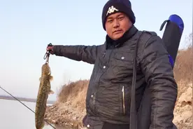 看鱼漂看竿稍，竿稍抖动就是鱼口，农村小伙野钓黄河急流视频封面
