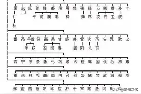 中华姓氏分支表一览：看看你的家族起源于哪里图片