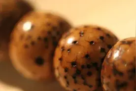 爱就去“盘他”！装逼利器菩提子你知道多少？图片