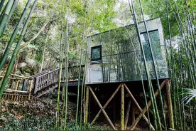 离成都1.5h的度假胜地，负氧离子爆棚，还能躺在树屋看星空图片