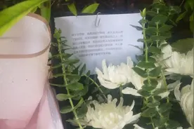 杭州杀妻嫌犯曾掐前妻脖子闹离婚，前妻闺蜜之女死亡旧案已提请警方重新调查图片