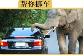轮子被马路牙子卡住了还打方向，会有什么影响？视频封面