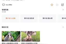 强烈推荐！！3岁以上小朋友观看《奇妙的动物之动物界的小可爱》图片