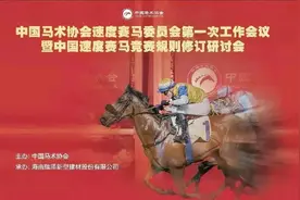 海南赛马套路深：一篇网文换来涨停后秒删，300亿元小镇靠想象图片