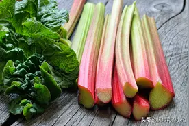 中国的“泻药”，欧洲人却当成宝！这神奇的时令菜你吃过吗？图片