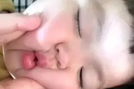 表情包：别睡了，小肥猪图片