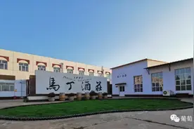 马丁酒庄，一部浓缩的怀来葡萄酒现代发展史图片