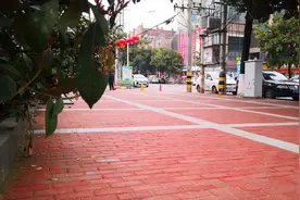 路平砖靓！城固县旧貌焕新颜图片