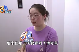 老鼠频频光顾，“自如”提到习惯图片