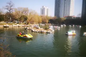 这个春节，郑州各大公园倾尽“家底儿”来庆祝，走！一起去瞧瞧图片