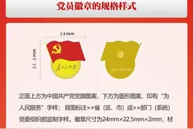庆祝建党100周年专栏 | 图解：佩戴党员徽章的正确方法与场合图片