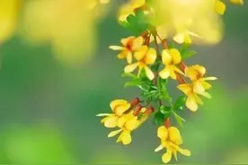 人到中年，会遇见5苦，熬过去就是幸福图片