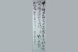 习书试用宿墨图片