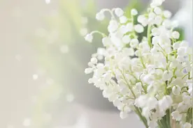 "人若懒惰，诸事荒芜"：懒惰之人，大多有这四个体现，误事误己图片
