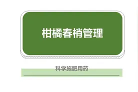 清明时节雨纷纷！柑橘如何促梢？春梢如何管理？注意这3个要点！图片
